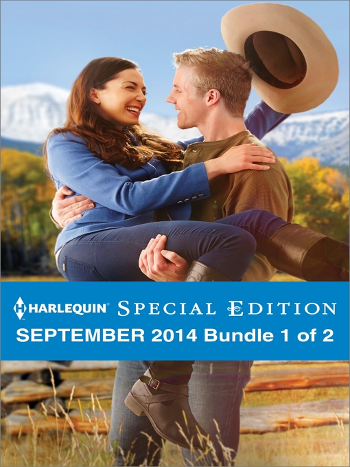 Title details for Harlequin Special Edition September 2014 - Bundle 1 of 2: Maverick for Hire\A Match Made by Baby\Once Upon a Bride by Leanne Banks - Available